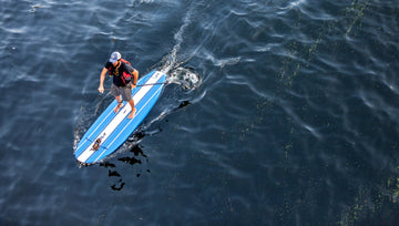 7 Best Paddle Board Companies