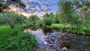 Bayfield Co Campgrounds