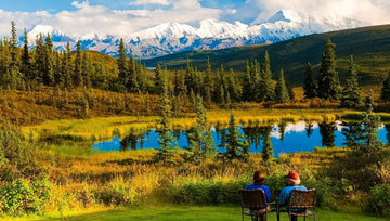 Denali Campgrounds and RV Parks for Summer Camping