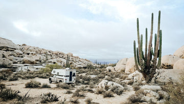 Top Baja California Campgrounds and Parks for Camping