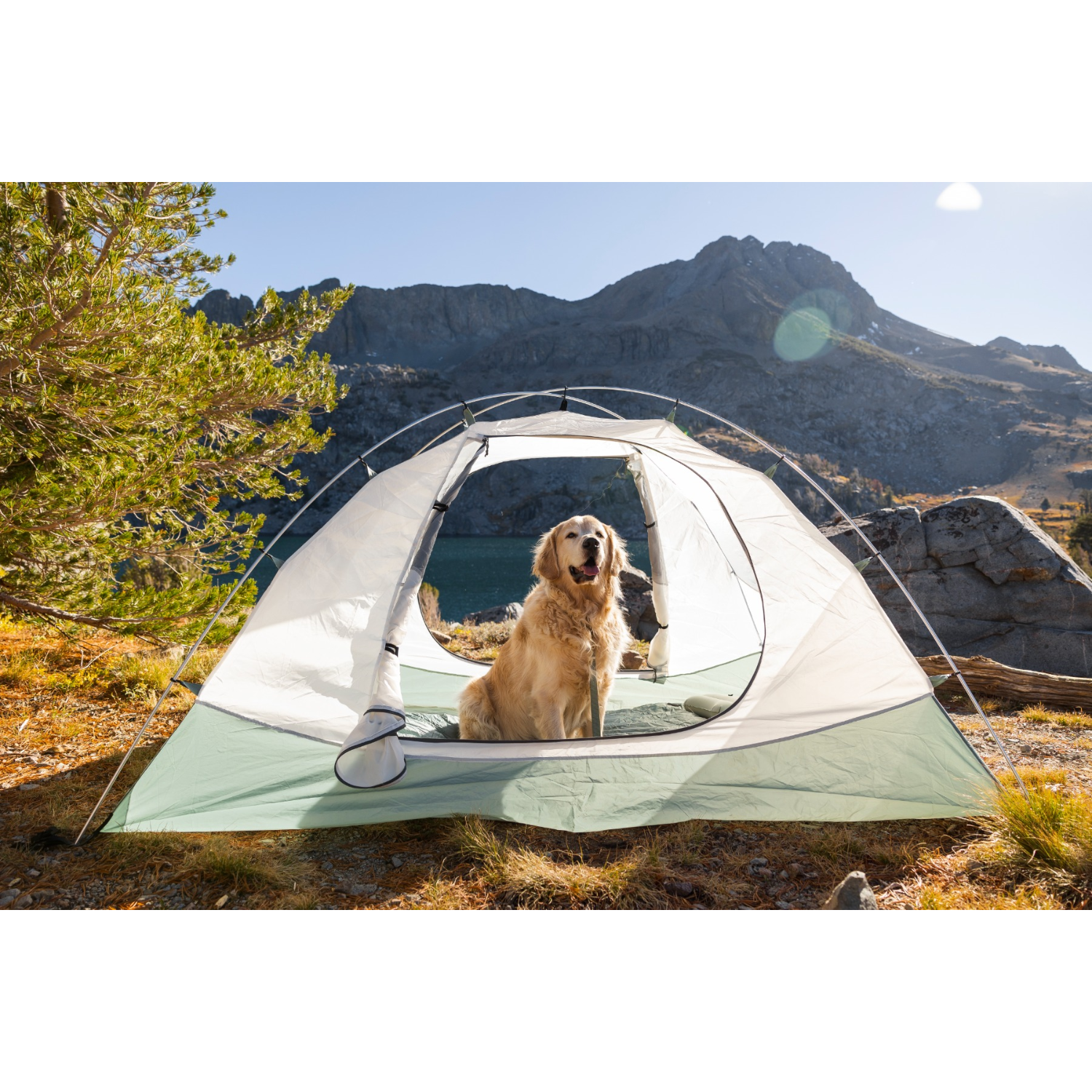 ALPS Mountaineering | Felis 4 Waterproof Person Tent10