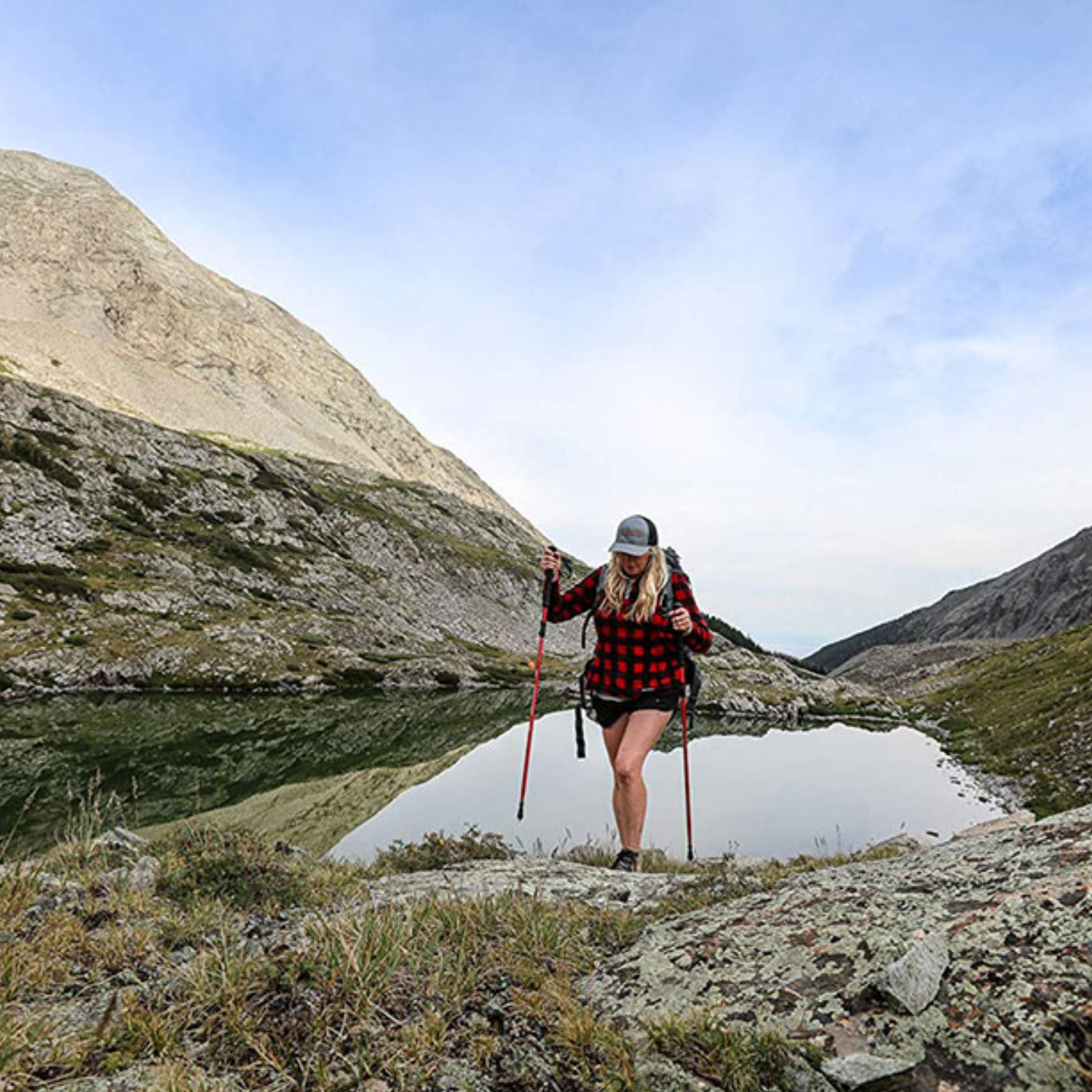 ALPS Mountaineering | Trekking Conquest Pole 6